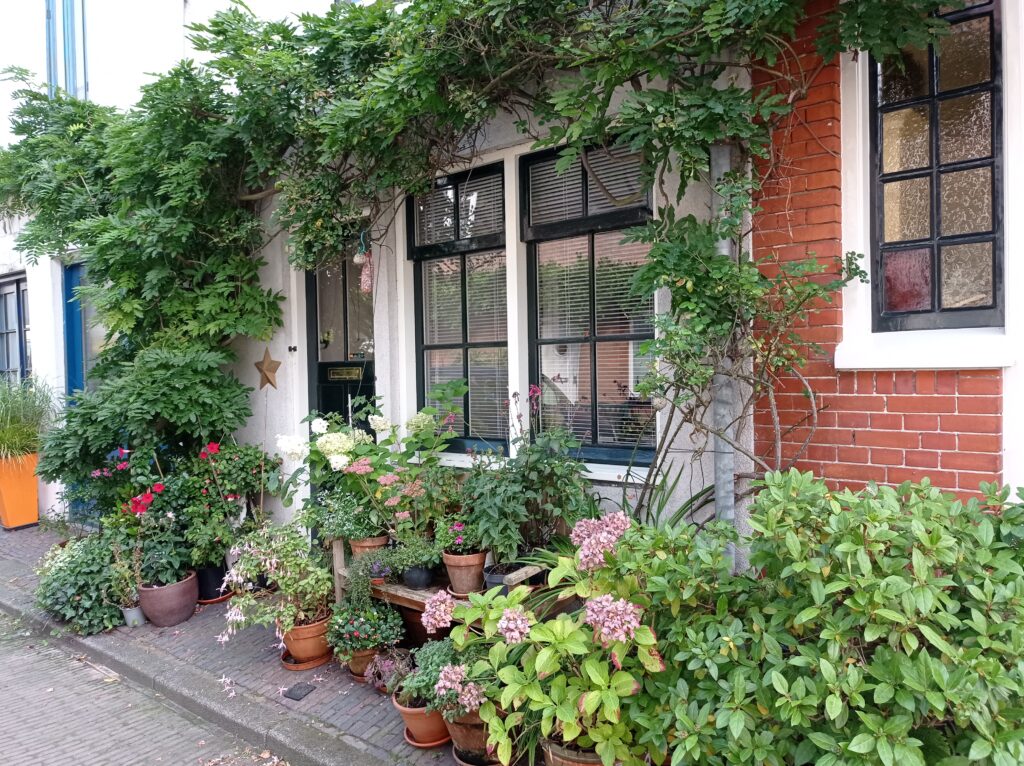 בית עם צמחיה יפה בהארלם